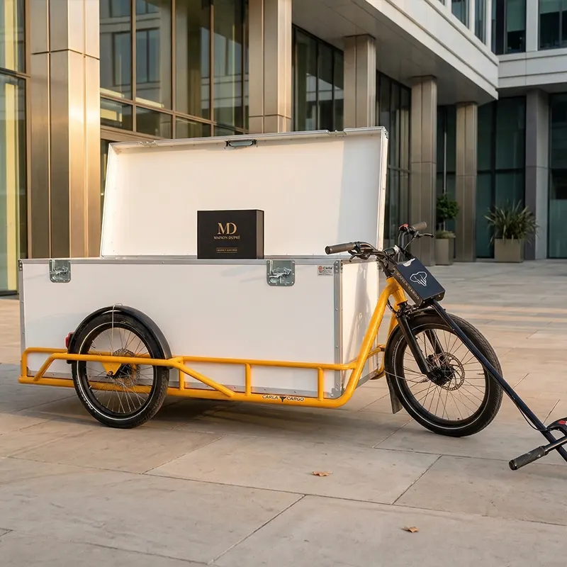 FLight case pour vélo cargot